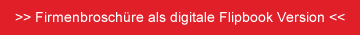 Webdesign, Online-Shops, Video-Trailer, Online-Marketing, Mystery Checks, Graphikdesign, Gründungsberatung, Businessplanerstellung, Kapitalakquise, Fördermittel, Existenzgründung, Franchisesystem, Franchising, Startups, Firmenbeteiligungen, Immobilieninvestments, Green Investments, mediaconcepts, Ingelheim, Carsten Ott